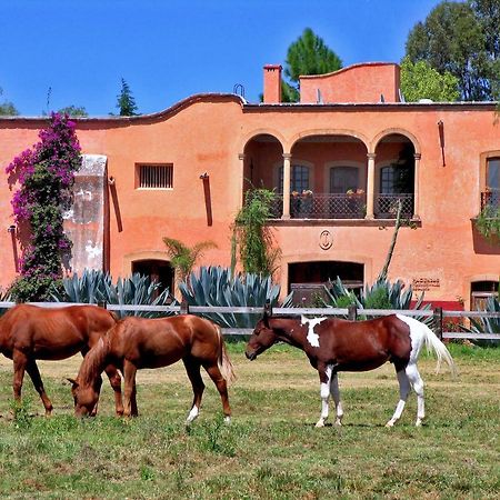 Hacienda Sepulveda Hotel & Spa (Adults Only) Lagos de Moreno Eksteriør bilde
