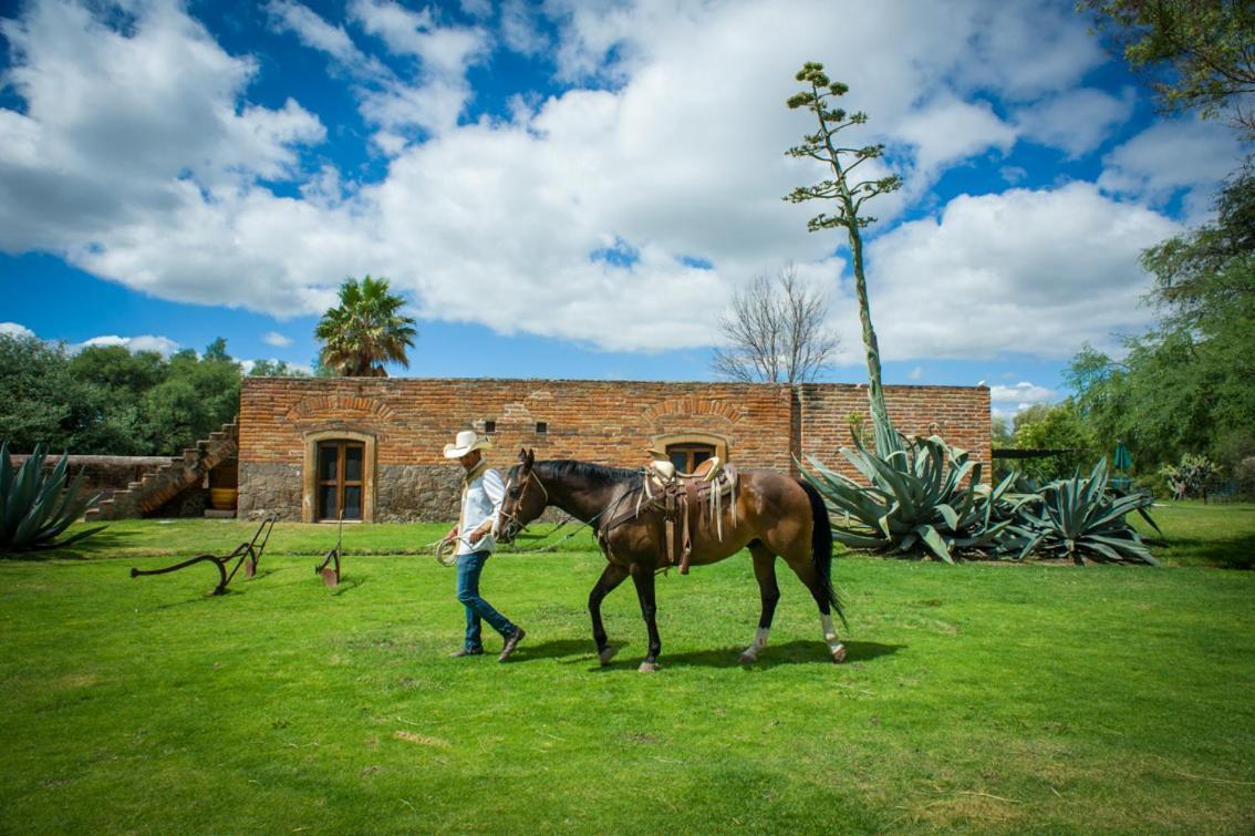 Hacienda Sepulveda Hotel & Spa (Adults Only) Lagos de Moreno Eksteriør bilde